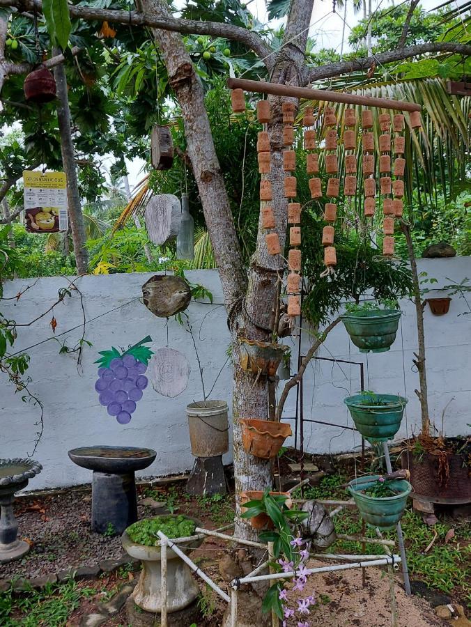 Wine Tree Garden Guesthouse Mirissa Exteriör bild